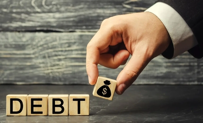 Introduction to Debt Financing  